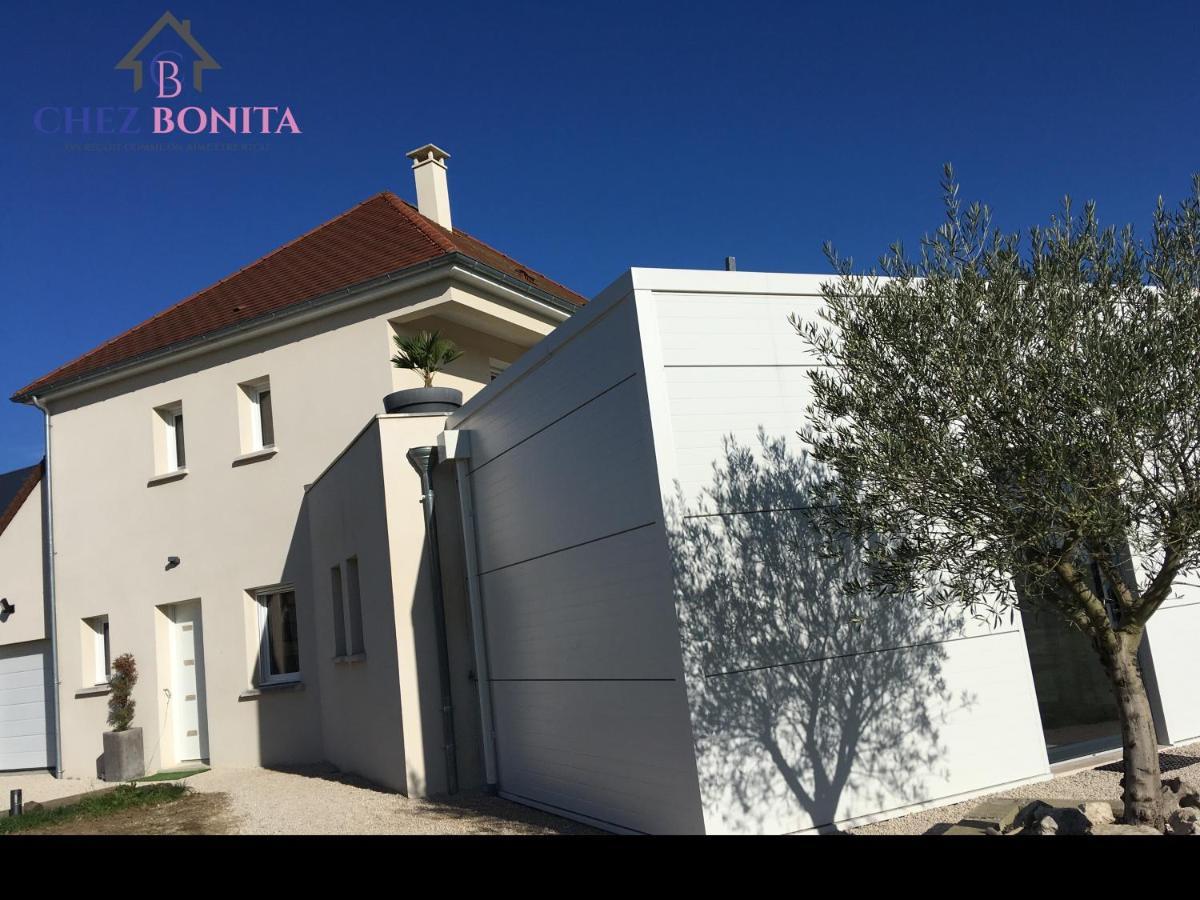 Chez Bonita Hotell Chouzy-sur-Cisse Eksteriør bilde